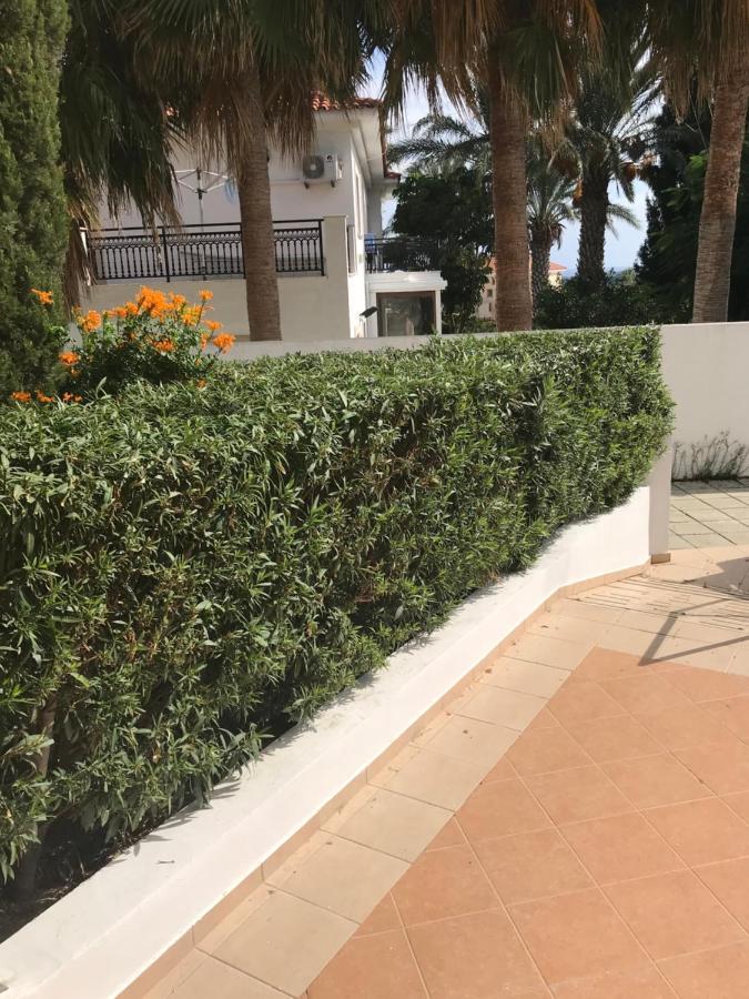 Mediterranean Dream Voroklini Exteriér fotografie